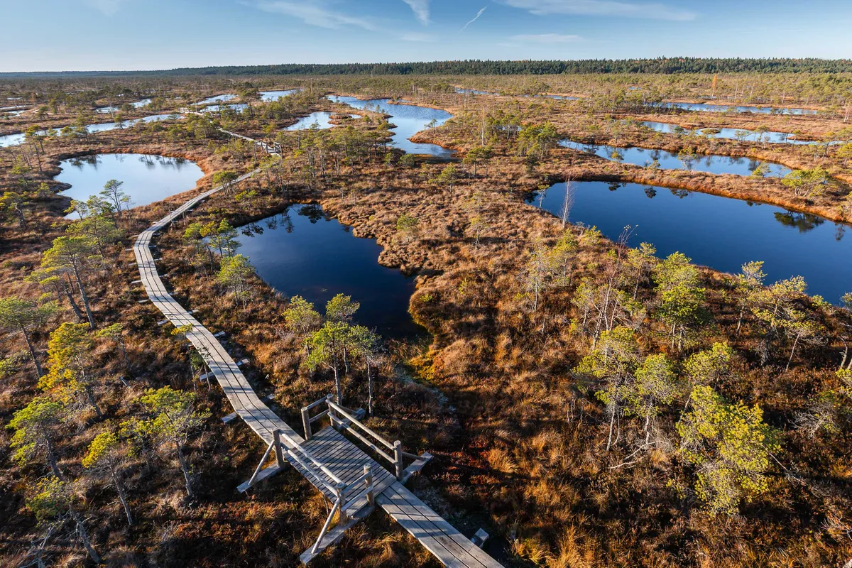 Top 12 Largest Peat Bogs In The World - Dewdara