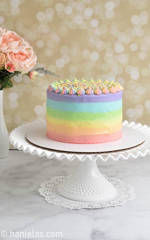 Rainbow birthday cake ideas Design 42